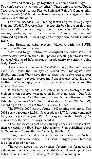 Text Box: 	Love and Marriage...go together like a horse and carriage. You cant have one without the other.  These lyrics to an old Frank Sinatra song apply to the Florida Fish and Wildlife Conservation Commissions (FWC) bald eagle nest survey and management plan.  One exists for the other.	For three decades, FWC biologist working for the agencys Fish and Wildlife Research Institute has climbed into a small plane from late fall to early spring to count the number of bald eagles nesting territories, each one made up of an active nest and surrounding habitat.  A bald eagles territory often includes unused nests.	Jane Brush, an avian research biologist with the FWRI, coordinates this annual count.	We used to go nest-to-nest throughout the entire state, but now that we have more than 2,000 potential nesting territories, wed be sacrificing solid information on productivity to continue doing that, Brush said.	Statisticians recommended the FWC survey a third of the state each year.  With the new system, retired FWC biologists Steve Nesbitt and John White have time to make two to five passes over each active nest to record everything from presence of adult eagles to the number of eggs in a clutch, incubating behavior and the number of chicks.	Pilots ferrying Nesbitt and White skim the treetops so the biologists can observe what goes on in the giant nests.  One U.S. nest reportedly weighed thousands of pounds.  Another nest, in St Petersburg, measured 9.5 feet in diameter and was 20 feet tall, according to The Birds of North America Online.	The FWCs 2009 survey found 1,340 nesting territories.  The 2008 survey reported 1,280.  Nest produced 1,796, young compared to 1,495 the previous year.  Floridas eagle population totals 3,565 adults and 5,360 with nestlings included.	The immediate impact of the survey is that is a nest is active, then we apply the Bald Eagle Management Plan guidelines about buffer zones and permitting to the nest, Brush said.	Many territories discovered when we started conducting surveys ate still active today, Brush said.  Longevity in a territory is a sign of good habitats. 	The survey shows that bald eagles favorite tree for nesting is a dominant live pine.  Knowing such details about working habitats helps scientist ensure the bald eagles continued recovery. ■
